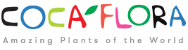 Logo firmy Sklep z roślinami CocaFlora