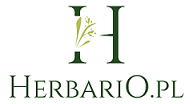 Logo firmy Herbario