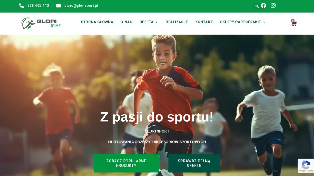 Zrzut ekranu strony